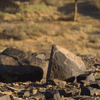 Un peu d'eau dans le désert