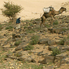 Les dunes de Foum-Tizza