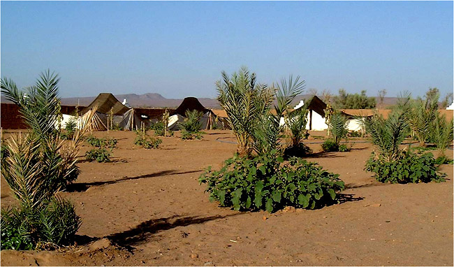 L'Oasis de Mezgarne