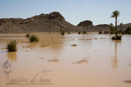 La palmeraie de Rissani sous l’eau