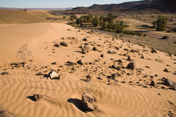 Oasis de Serdrar, prè de Tazarine