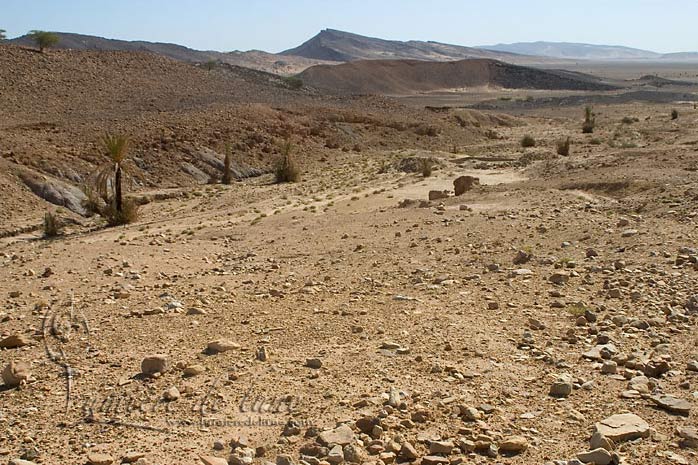 La fin de l'Oasis de Serdrar